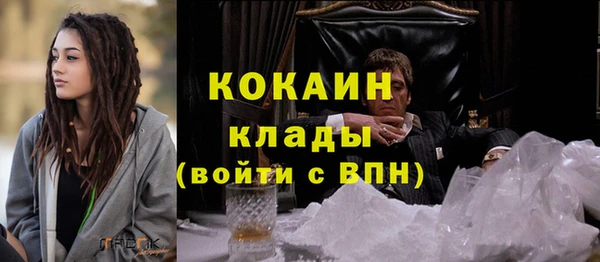 прущие грибы Балабаново