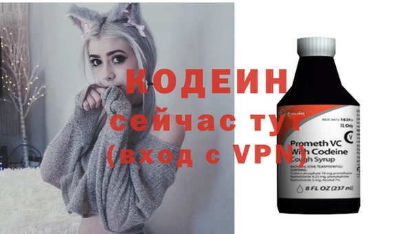 прущие грибы Балабаново