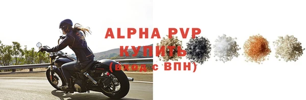 прущие грибы Балабаново
