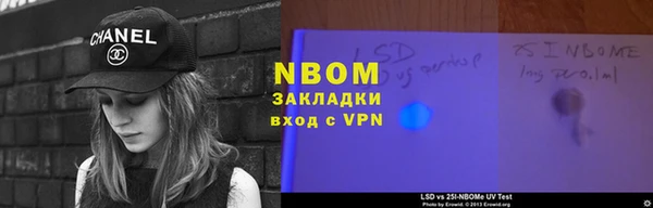 прущие грибы Балабаново