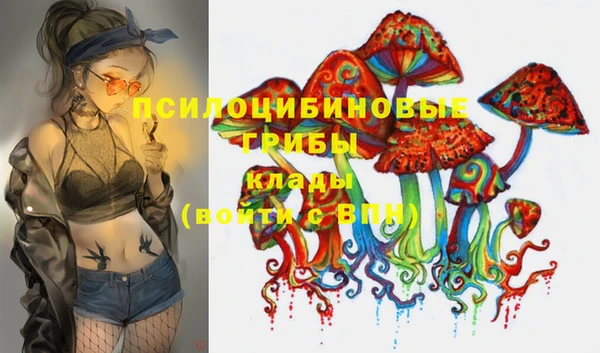 хмурый Балахна