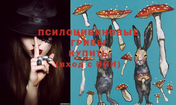 mdpv Баксан