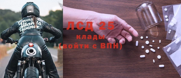 прущие грибы Балабаново