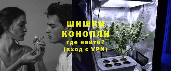 прущие грибы Балабаново