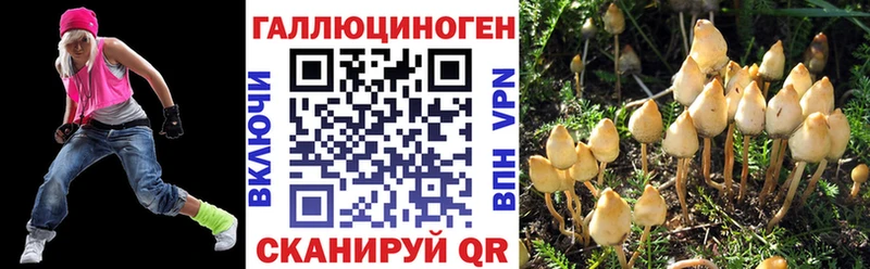 Псилоцибиновые грибы ЛСД Вольск